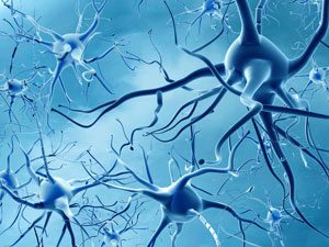 Illustration 3D de neurones